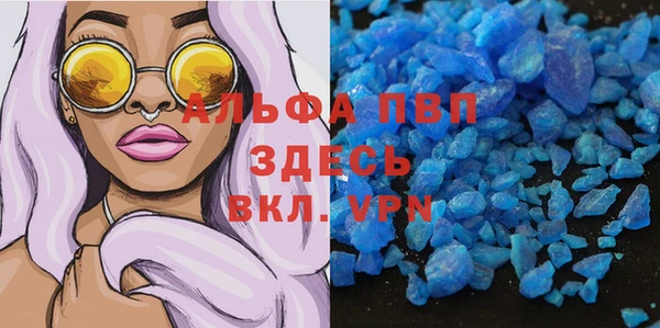 СК Бородино