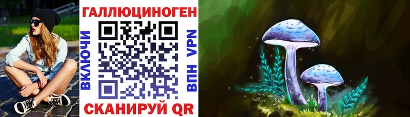 Галлюциногенные грибы Psilocybe Нурлат